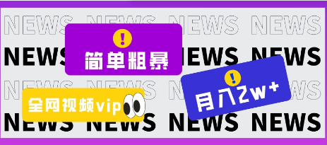 全网视频VIP掘金项目：简单粗暴零成本，高回报，月入2万＋-天天学吧