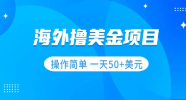 零门槛操作简单的撸美金项目，小白也能轻松每天赚取50+美元！-天天学吧