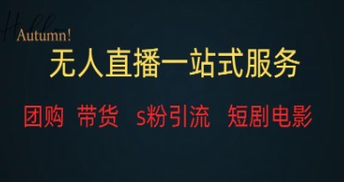 无人直播全套服务，稳定变现的利器-天天学吧