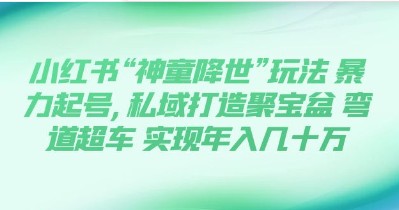 小红书“神童降世”玩法揭秘：暴力起号，私域打造聚宝盆，实现年入几十万的弯道超车-天天学吧