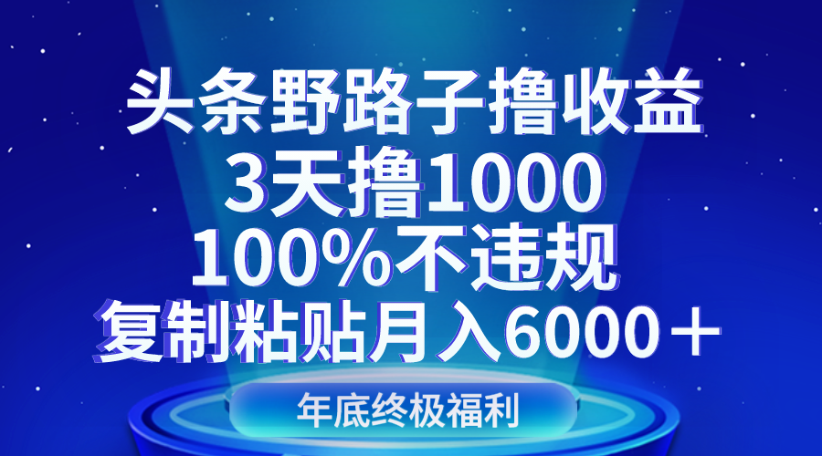 头条野路子撸收益攻略：3天赚1000，100%合规，复制粘贴月入6000+-天天学吧