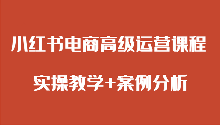 小红书电商高级运营课程，实操教学+案例分析，提升你的销售技巧-天天学吧