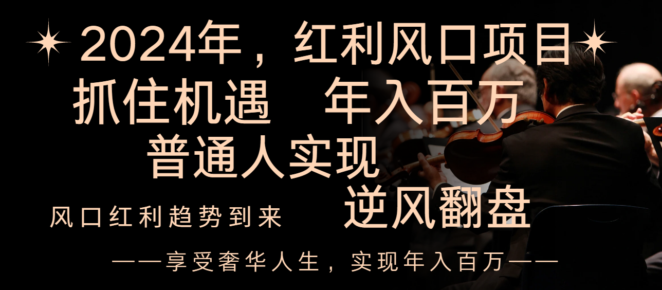 2024红利风口项目揭秘，普通人逆风翻盘享受第一波红利，年入百万不再是梦想！-天天学吧