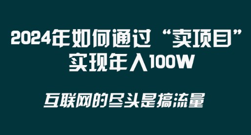 2024年卖项目新玩法！实现年入100W，轻松创业攻略揭秘-天天学吧