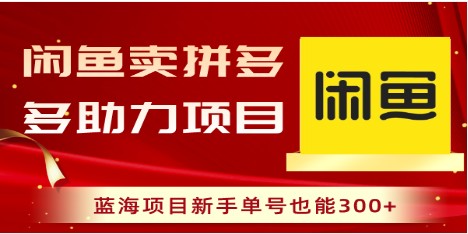 闲鱼卖拼多多助力项目，蓝海项目新手单号也能轻松赚300+-天天学吧