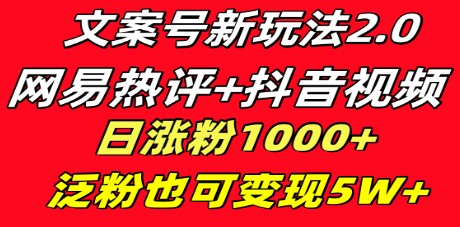 网易热评+抖音文案，文案号新玩法，一天涨粉1000+，多种变现模式，泛粉也可变现-天天学吧