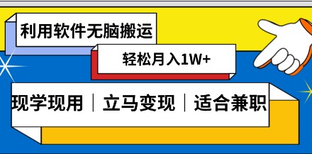 低密度新赛道视频赚钱攻略：无脑搬运+零成本零门槛，轻松日入1000+！-天天学吧