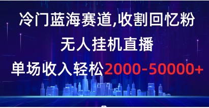 冷门蓝海赛道，无人挂机直播，单场收入轻松2000-5w+-天天学吧