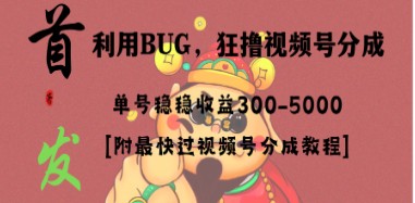 全网独家首发，视频号BUG项目，轻松实现单号每日净收益300-5000！-天天学吧