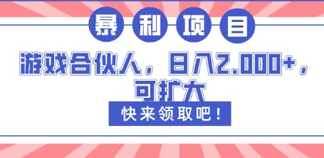 游戏合伙人计划，每日拉新轻松赚取2000+，长期稳定项目-天天学吧