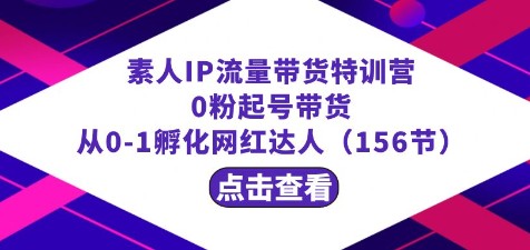 繁星·计划素人IP流量带货特训营，0粉起号带货，从0到1孵化网红达人（156节）-天天学吧