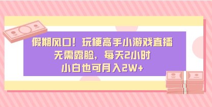 假期新风口：玩梗高手小游戏直播，小白月入2W+，无需露脸每天只需2小时！-天天学吧