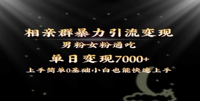 相亲群暴力引流变现玩法：男粉女粉通吃，单日变现7000+保姆教学1.0-天天学吧