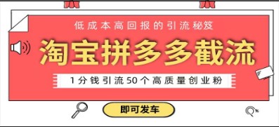 淘宝拼多多截流创业粉攻略：1分钱长尾流量引流50粉，电商平台创业新思路【附实操】-天天学吧