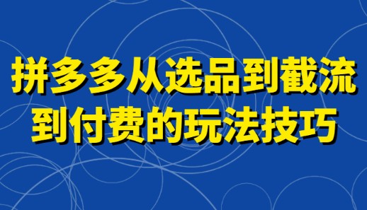 拼多多选品与截流攻略：高投产技巧揭秘，助你快速启动付费流量-天天学吧