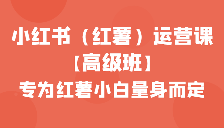 小红书（红薯）运营课【高级班】，专为红薯小白量身而定（42节课） -天天学吧