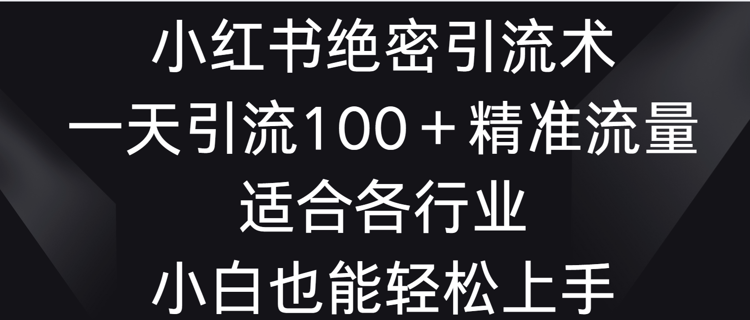 小红书引流秘籍：一天吸引100+精准流量，跨行业适用，小白也能轻松掌握-天天学吧