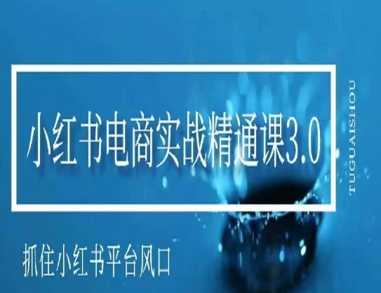 小红书电商实战精通课3.0：揭秘平台风口，助你抓住赚钱机遇-天天学吧