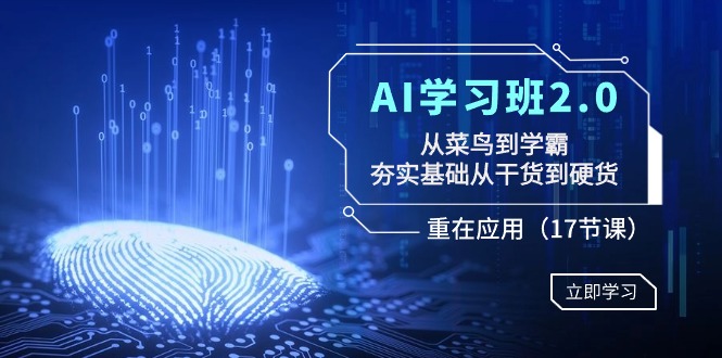  AI学习班2.0：从菜鸟到学霸，夯实基础从干货到硬货，重在应用（17节课）-天天学吧