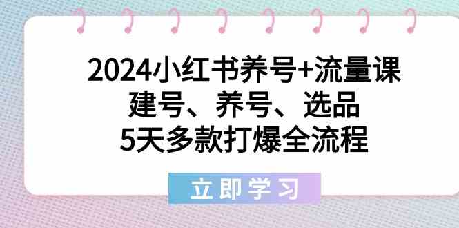 2024小红书养号+流量课：建号、养号、选品，5天多款打爆全流程-天天学吧