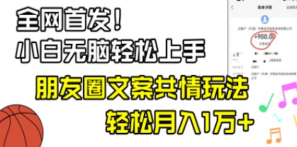 朋友圈共情文案玩法教程：小白轻松上手，月入1W+-天天学吧