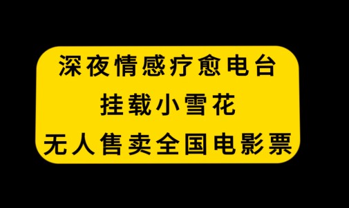 深夜情感疗愈电台项目：挂载小雪花，无人售卖全国电影票-天天学吧