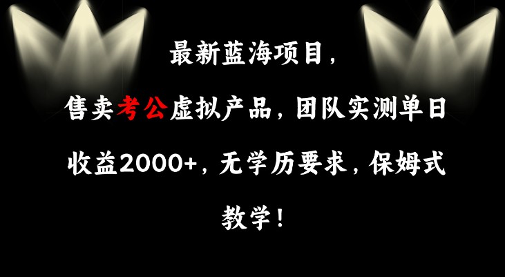 最新蓝海项目，售卖考公虚拟产品，团队实测单日收益2000+，无学历要求-天天学吧