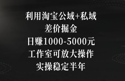 利用淘宝公域+私域差价掘金，日赚1000-5000元，工作室可放大操作-天天学吧