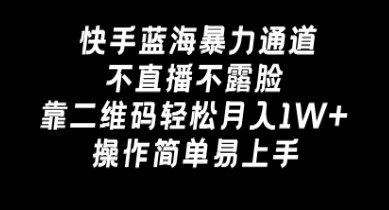 快手蓝海暴力通道，不直播不露脸，靠二维码轻松月入1W+，操作简单易上手 -天天学吧