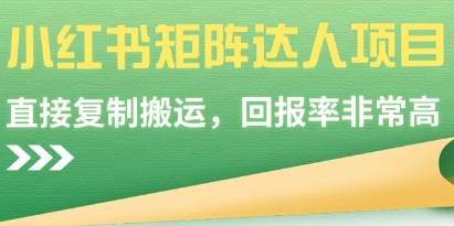 小红书矩阵达人项目揭秘：高回报率的直接复制搬运策略-天天学吧