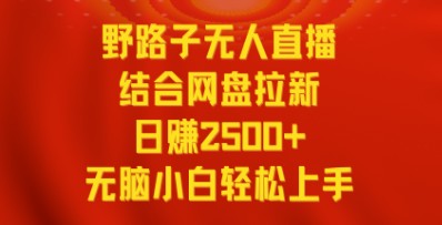 无人直播野路子与网盘拉新结合攻略：日赚2500+，多平台变现技巧，小白也能轻松上手-天天学吧