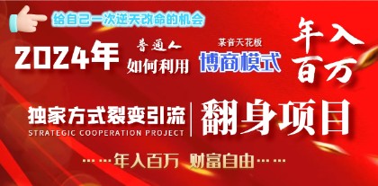 2024年博商模式翻身项目：普通人如何做到年入百万，实现财富自由-天天学吧