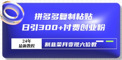 拼多多创业秘籍：复制粘贴日引300+付费粉丝，月变现六位数，轻松赚取额外收入！-天天学吧