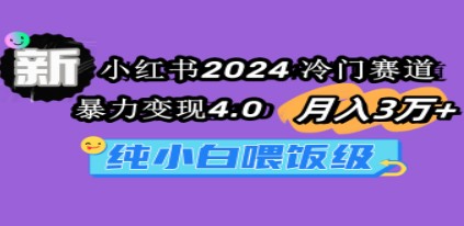 小红书2024冷门赛道变现指南：月入3万+的暴力变现策略，适合纯小白-天天学吧