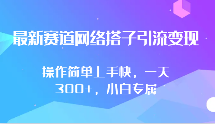 最新网络搭子引流变现技巧：一天300+收入，小白也能快速上手-天天学吧