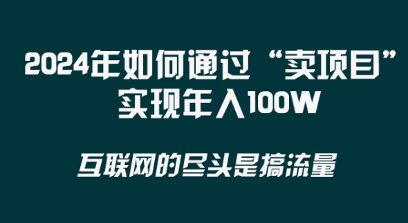 2024年项目创新策略：卖项目比做项目更快更直接，实现年入100万！-天天学吧