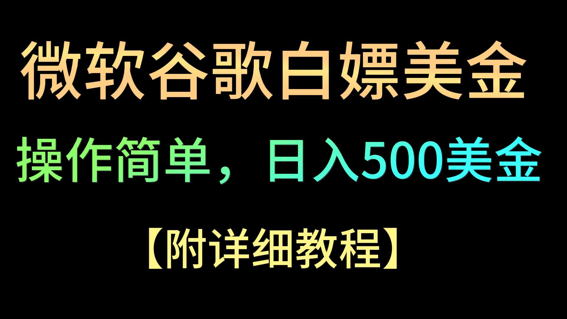 微软谷歌项目3.0：日入500+美金，操作简单，小白也能轻松上手！-天天学吧