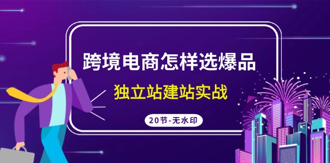  跨境电商怎样选爆品课程，独立站建站实战（20节高清课）-天天学吧