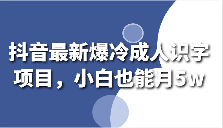 抖音最新新项目：成人识字课程，小白月入5万实操攻略-天天学吧