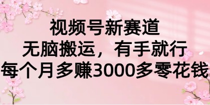 视频号新机遇：无脑搬运项目，每月轻松赚取3000+零花钱！-天天学吧