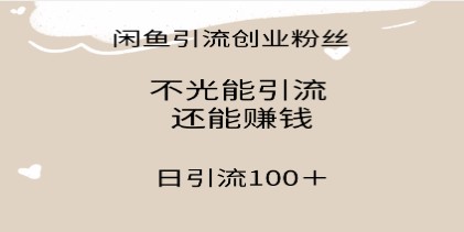 闲鱼精准引流秘籍：日引100+创业粉丝，边引流边赚钱的双赢策略！-天天学吧