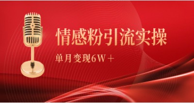 月入6W+，情感粉丝引流变现实操课程，轻松实现网络收益-天天学吧