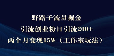 野路子流量掘金术：日引流200+创业粉，两月工作室玩法变现15W！-天天学吧