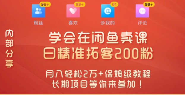 零基础赚钱攻略：闲鱼卖课+日拓200粉技巧，月入2万+的长期项目详解！-天天学吧