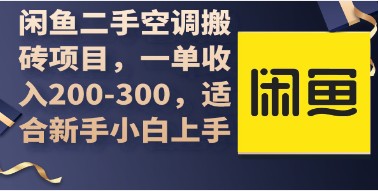 闲鱼二手空调买卖攻略：新手小白易上手，一单盈利200-300元-天天学吧