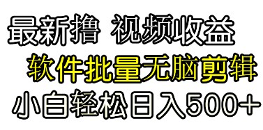 新手友好的发视频指南：使用批量剪辑软件，实现第二天见效的梦想！-天天学吧