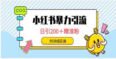 小红书日引200+精准粉丝的暴力引流技巧，一键触达上万人的实操教程-天天学吧