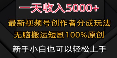 视频号创作分成秘籍：小白日入5000+，最新100%原创玩法详解-天天学吧