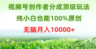 视频号创作分成攻略：纯小白如何实现100%原创，轻松月入10000+-天天学吧