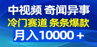 揭秘中视频奇闻异事赛道：冷门而爆款，轻松月入10000+-天天学吧